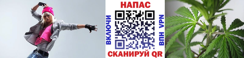 блэк спрут зеркало Красково Конопля White Widow